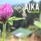 AIKA Reserva Glamping Tabio - Табіо