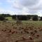 The Anchorage Nables Farm