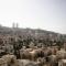 Haifa Peak