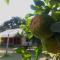 Villa de hollong
