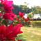 Villa de hollong