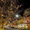 Elegant Old Town Charm - Walk to CSU and Downtown