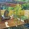 Lyon superbe jacuzzi vue sur jardin - Villeurbanne