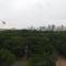 The Purple Tree Hostel - 马尼拉