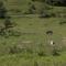 Ranch Jelov Klanac - Rakovica