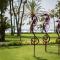 Acanthus Cennet Barut Collection - Ultra All Inclusive - 锡德