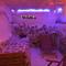 SPA Villa Jasmin