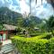 Tam Coc Nature - Ninh Binh