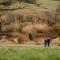 Min Yr Afon- Central cosy Cottage, walk to restaurants and Castle