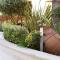 Giannoulis - Santa Marina Plaza (Adults Only)