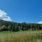 Appartement Bergsee FAMILY - direkt am See - Seeblick - Seefeld in Tirol