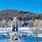 Appartement Bergsee FAMILY - direkt am See - Seeblick - Seefeld in Tirol