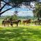 Estancia Turística San Pedro de Timote - Reboledo