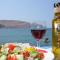Elixirion Guest House - Karavostasion