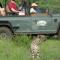 Honeyguide Tented Safari Camp - Khoka Moya - rezervácia voľne žijúcej zveri Manyeleti