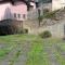 Green House Olivedo