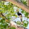 Thapwarin Resort - Green Hotel