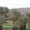 Maggaman Guest House - Tafraoute Sidi Ali