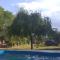 Mamá Quilla