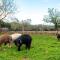 Lovely Home In Manacor With Wifi