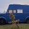 Vigio Brasta camping