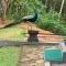 Ella Residence Eco Resort
