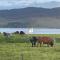 Plockton, Camus Fearn Barn - Plockton