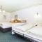 Hotel & Appartements Alpenresidenz Viktoria - 施图拜河谷新施蒂夫特