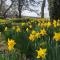 The Steading at Pitmeadow Farm - Dunning