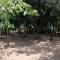ZIONZURI ARTS ECOVILAGE TREE HOUSE