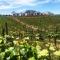 Domaine Chardonnay