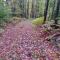Spacious country retreat close to town and nature, Sylvana Farm VT