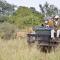 Kambaku River Sands - Timbavati Game Reserve