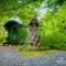 Gypsy Wagons and Vans, Clarens