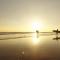Nature et decouverte a Brem sur Mer - 滨海布朗