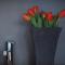 Sopot Special Apartments