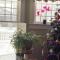 Granbury Gardens Bed and Breakfast