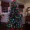 Granbury Gardens Bed and Breakfast