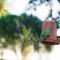 The garden gate resort & Apartments No 01