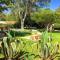 La Ferme Berbere Adult only