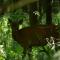 Citellus Apartman