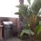 Best Western Plus Oceanside Palms