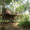 Foto: Neptune Adventure - Tatai River Bungalows 17/35