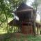 Foto: Neptune Adventure - Tatai River Bungalows 20/35