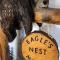 Eagles Nest Motel
