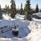 Awesome Home In Sjusjøen With Wifi