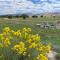The Riverside Ranch Motel and RV Park Southern Utah - Гатч