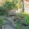 7 Nelson Steps - Dartmouth