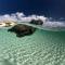 Sun Island