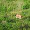 Spacious nest between Maribor and Celje NiceHead